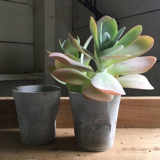 Crushed Cement Cup Planters by the3Rsblog